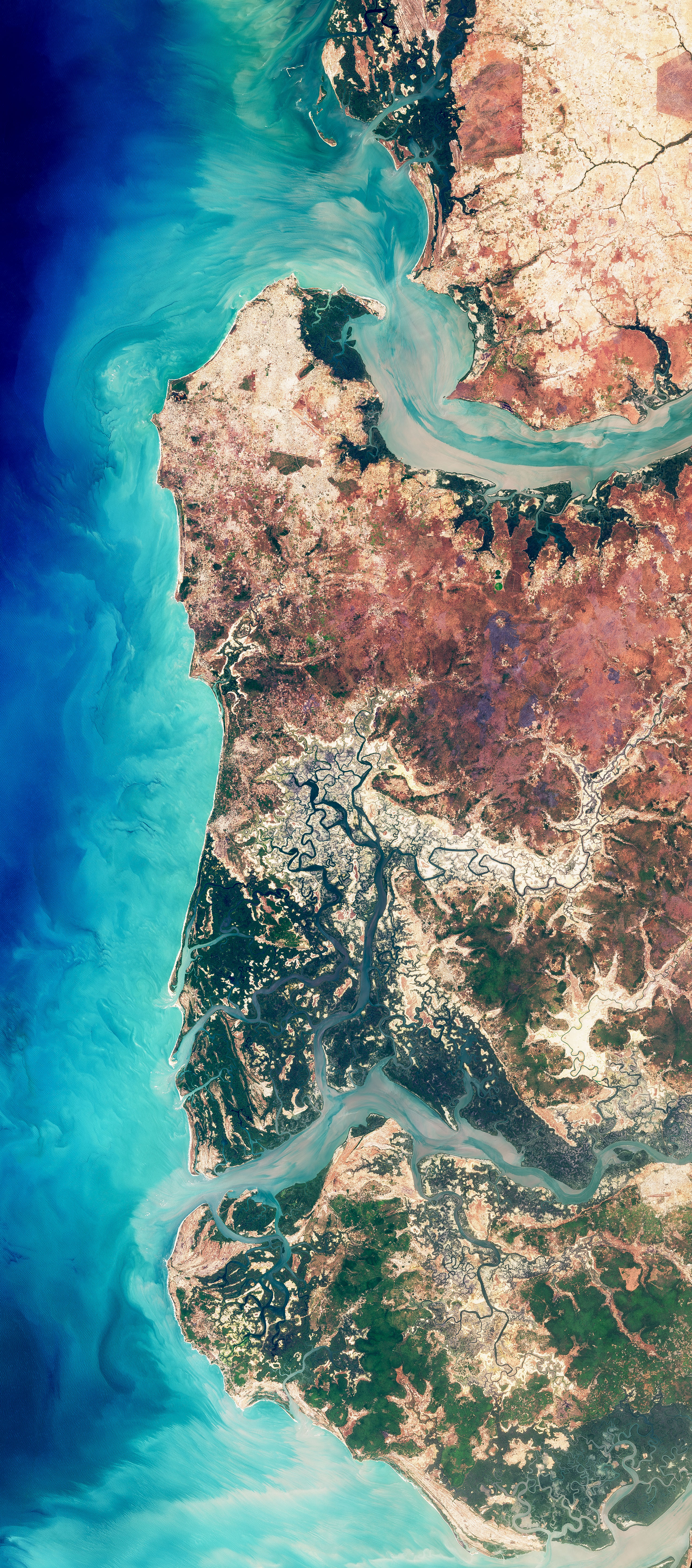 The Spread of Mangroves in Senegal  - related image preview