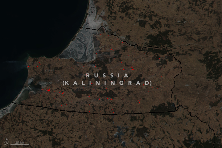 Spring Fires in Kaliningrad - related image preview