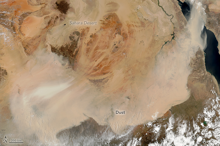 Vast Dust Storms in the Sahara