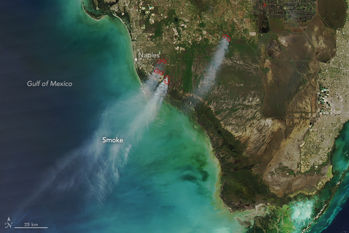 Fire Season in Florida - related image preview