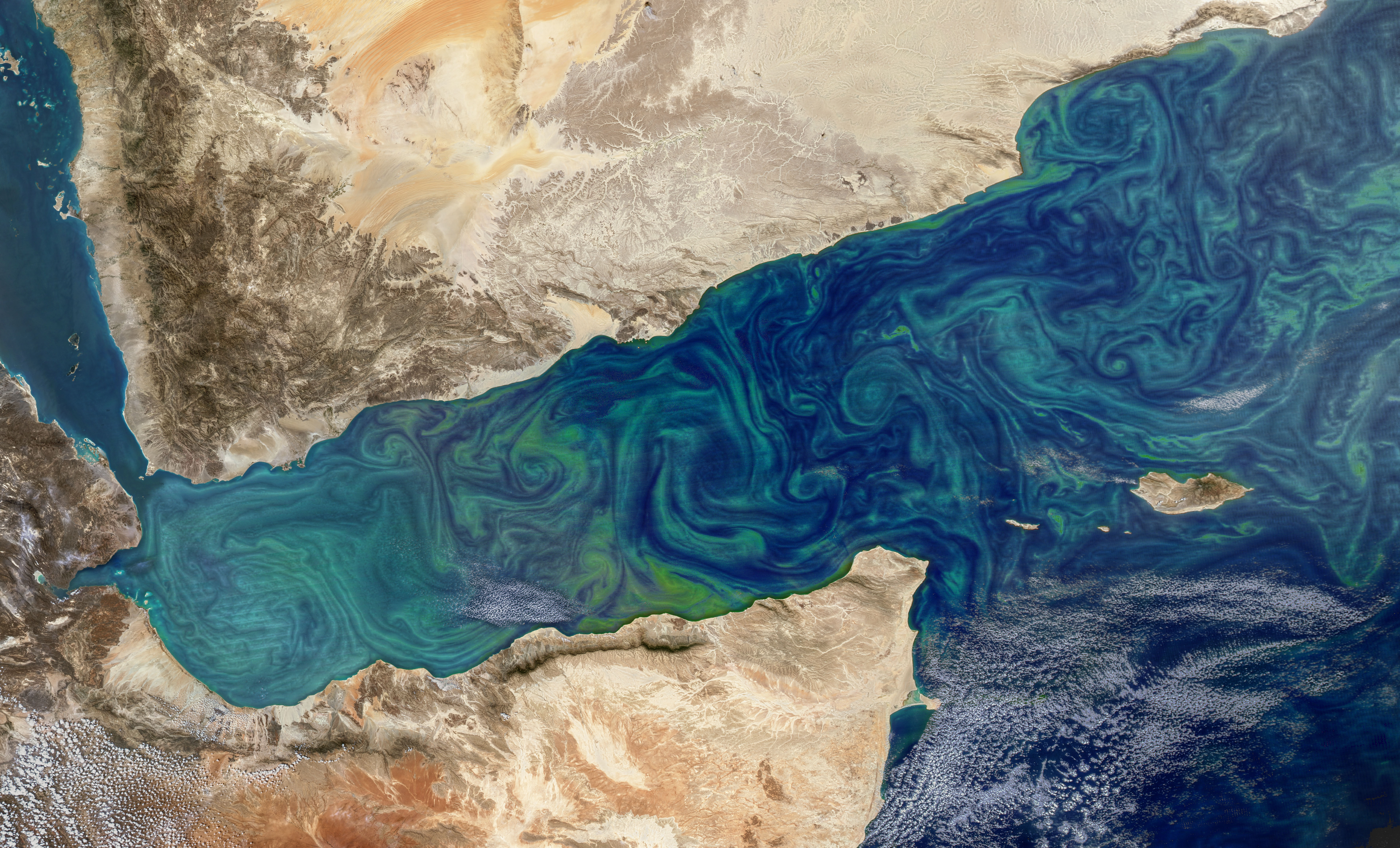Bloom in the Gulf of Aden - related image preview