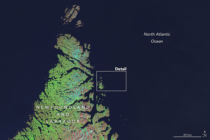 The Island Named After a Satellite - related image preview