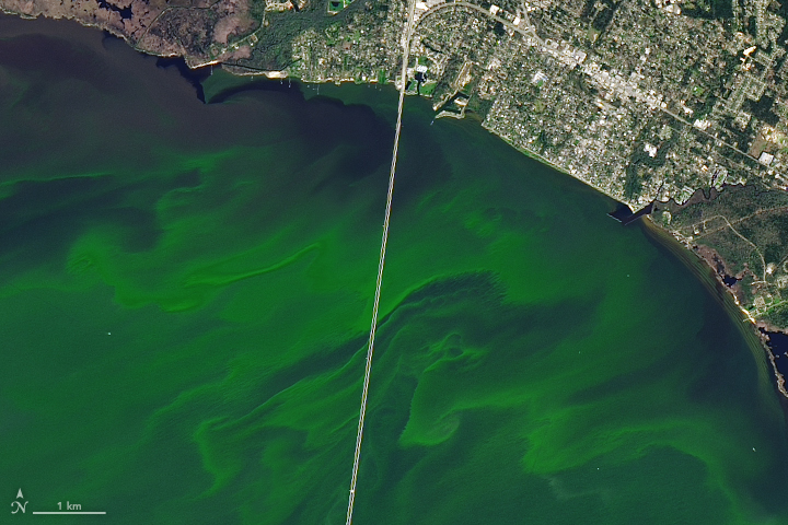 Coloring Lake Pontchartrain - related image preview