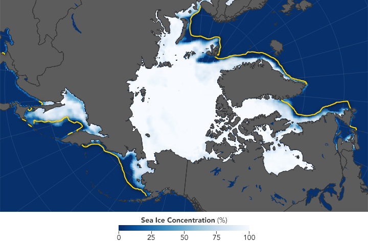 Shipping Responds to Arctic Ice Decline - related image preview