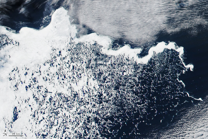 Tendril of Ice in the Weddell Sea 