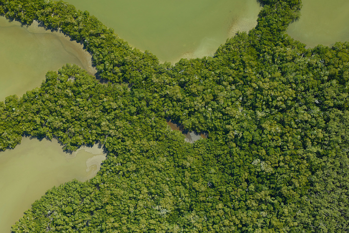 NASA Mapping Hurricane Damage to Everglades