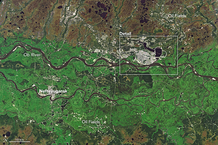 A Ring of Green Around Surgut  - related image preview
