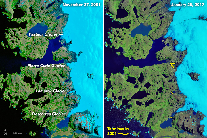 Glacier Retreat at Cook Ice Cap