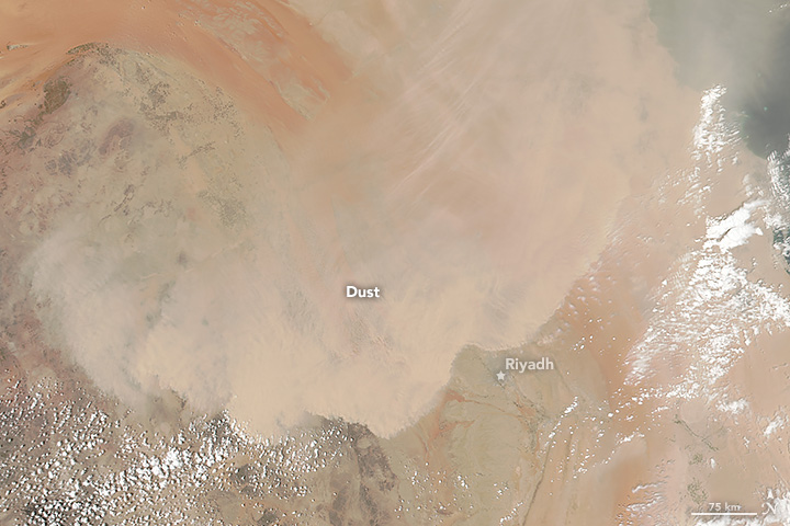 Dust Storm in Saudi Arabia 