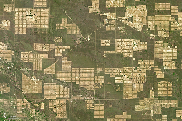 Deforestation in Paraguay