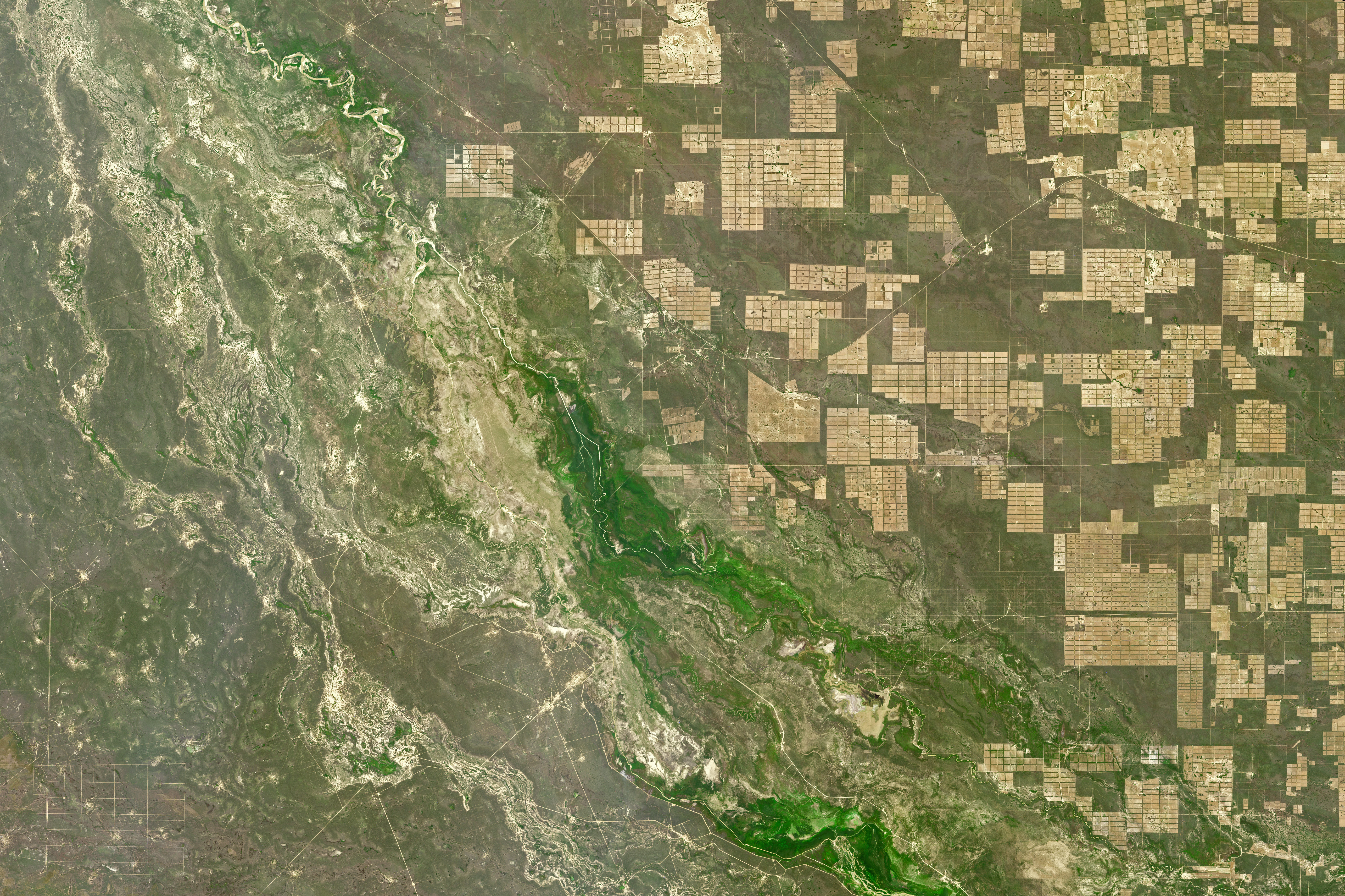 Deforestation in Paraguay - related image preview