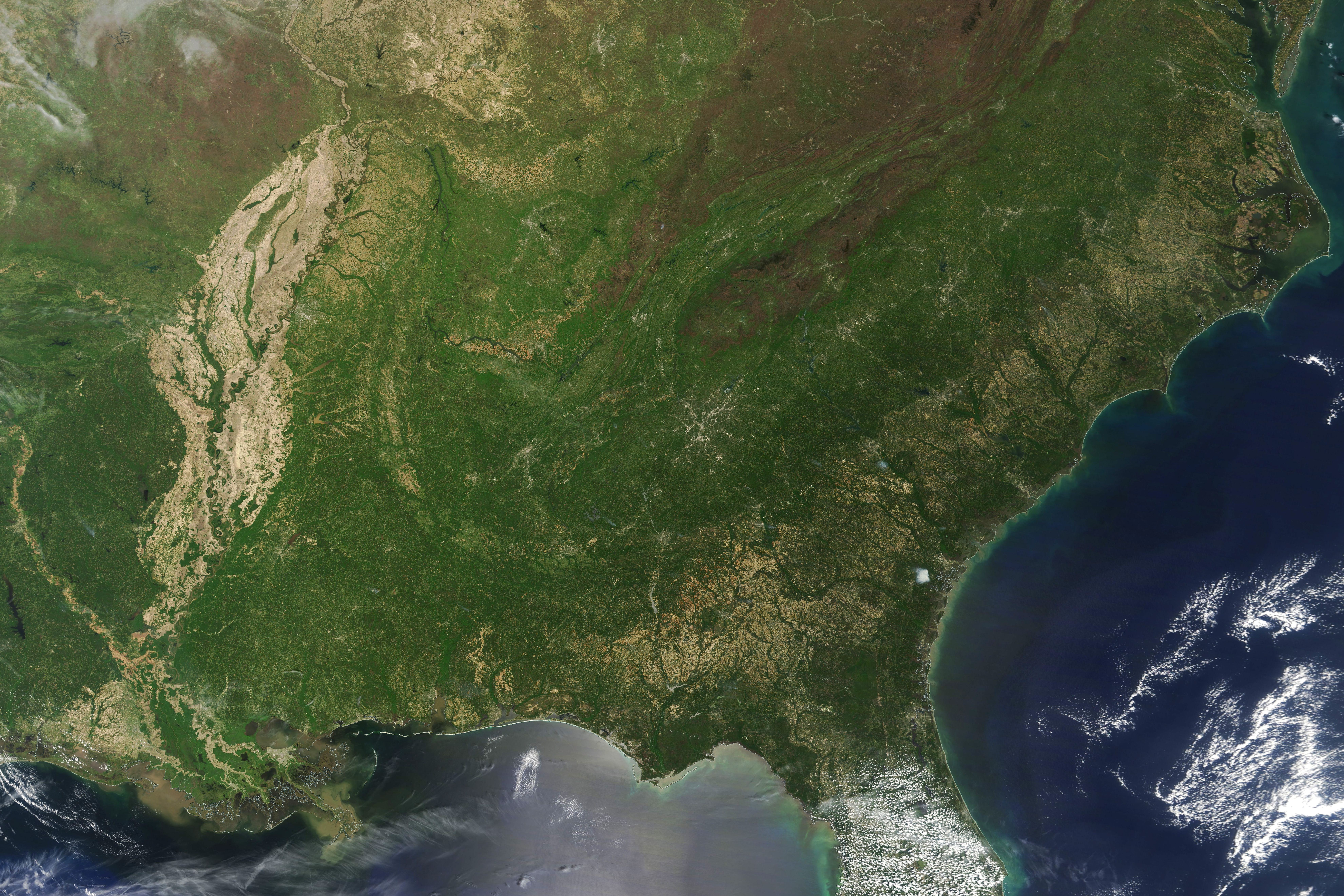 Spring Greening in the Southeast - related image preview