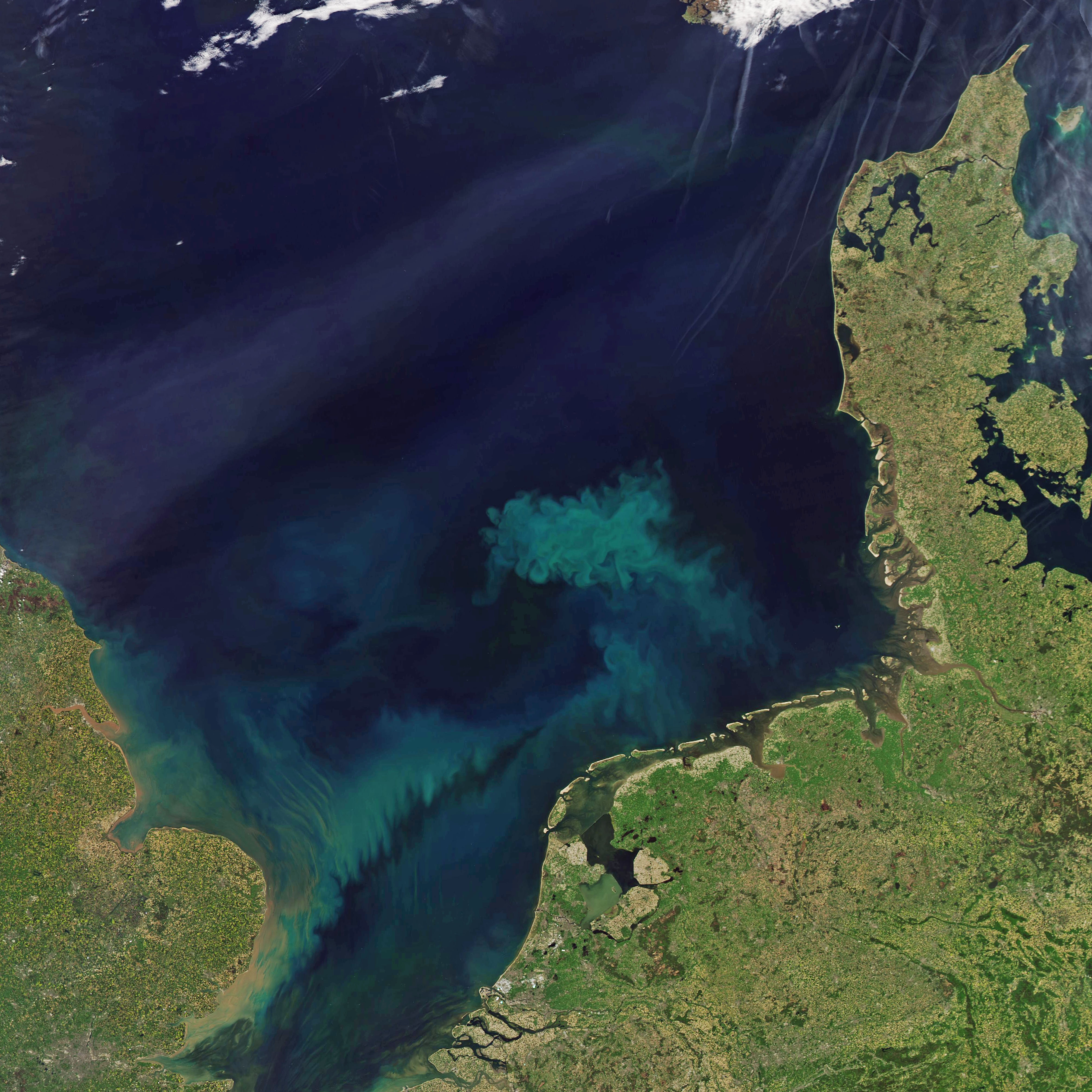 Spring Color in the North Sea - related image preview