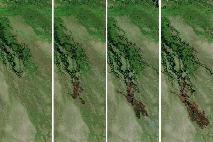 Fire Marches Across the Okavango Delta - selected image