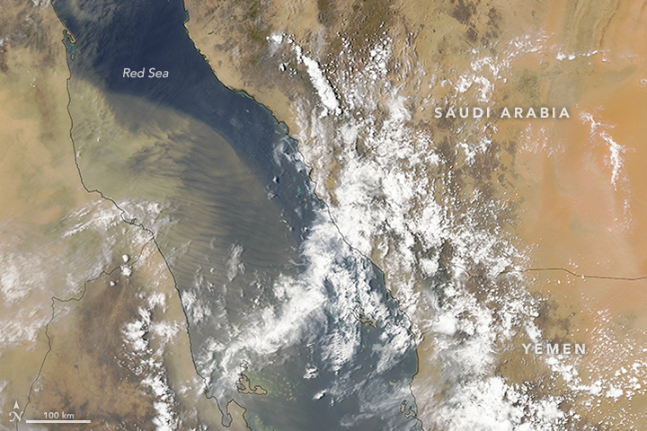Waves of Dust Over the Red Sea