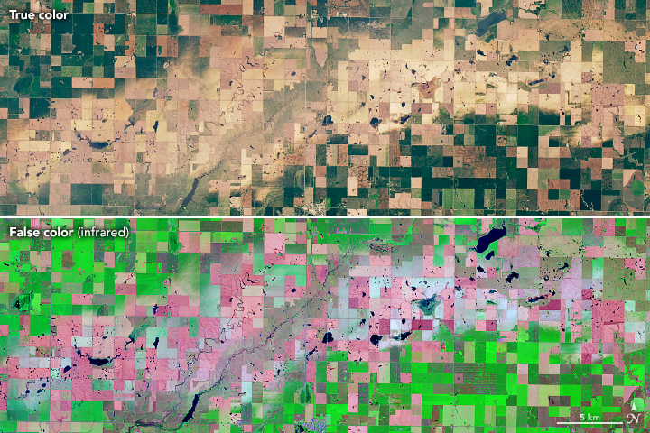 Hail Cuts Swaths of Damage Across South Dakota - related image preview