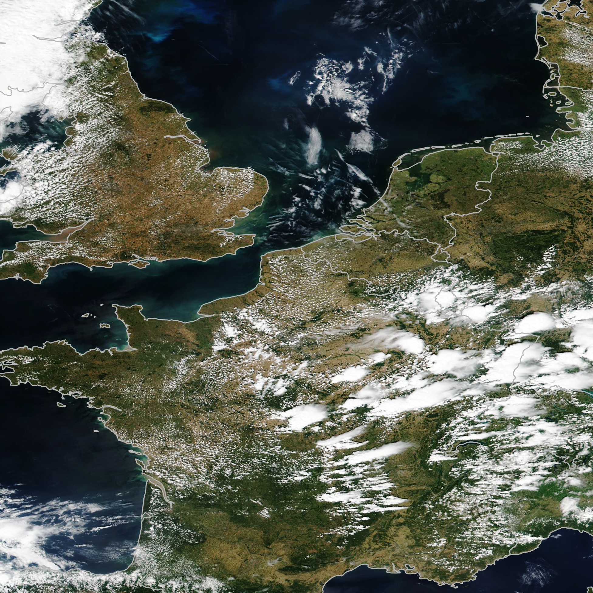 Heatwave Turns Europe Brown - related image preview