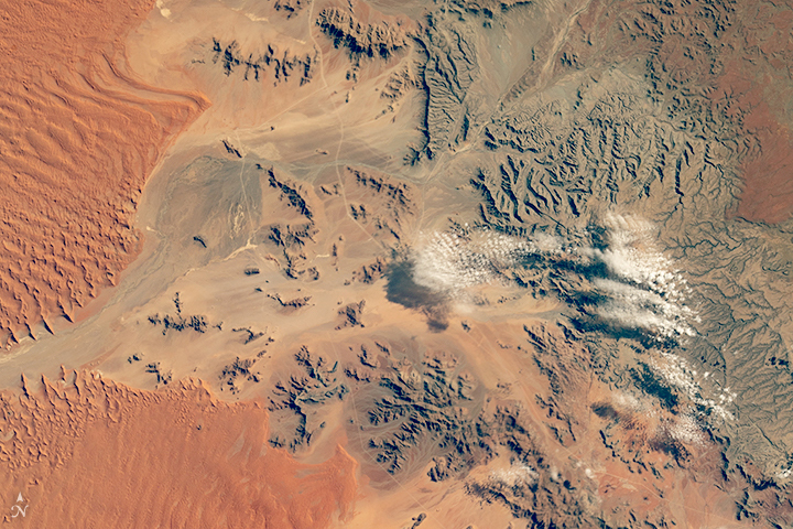 Sand Sea Margin, Namib Desert - related image preview