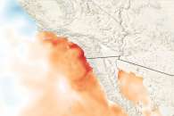 Record Warm Waters off Southern California Record Warm Waters off Southern California