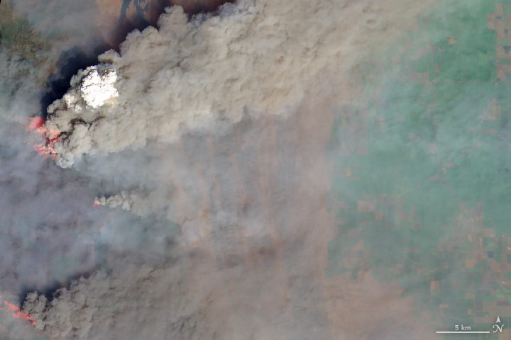 Smoke Plumes Tower Over California  - related image preview