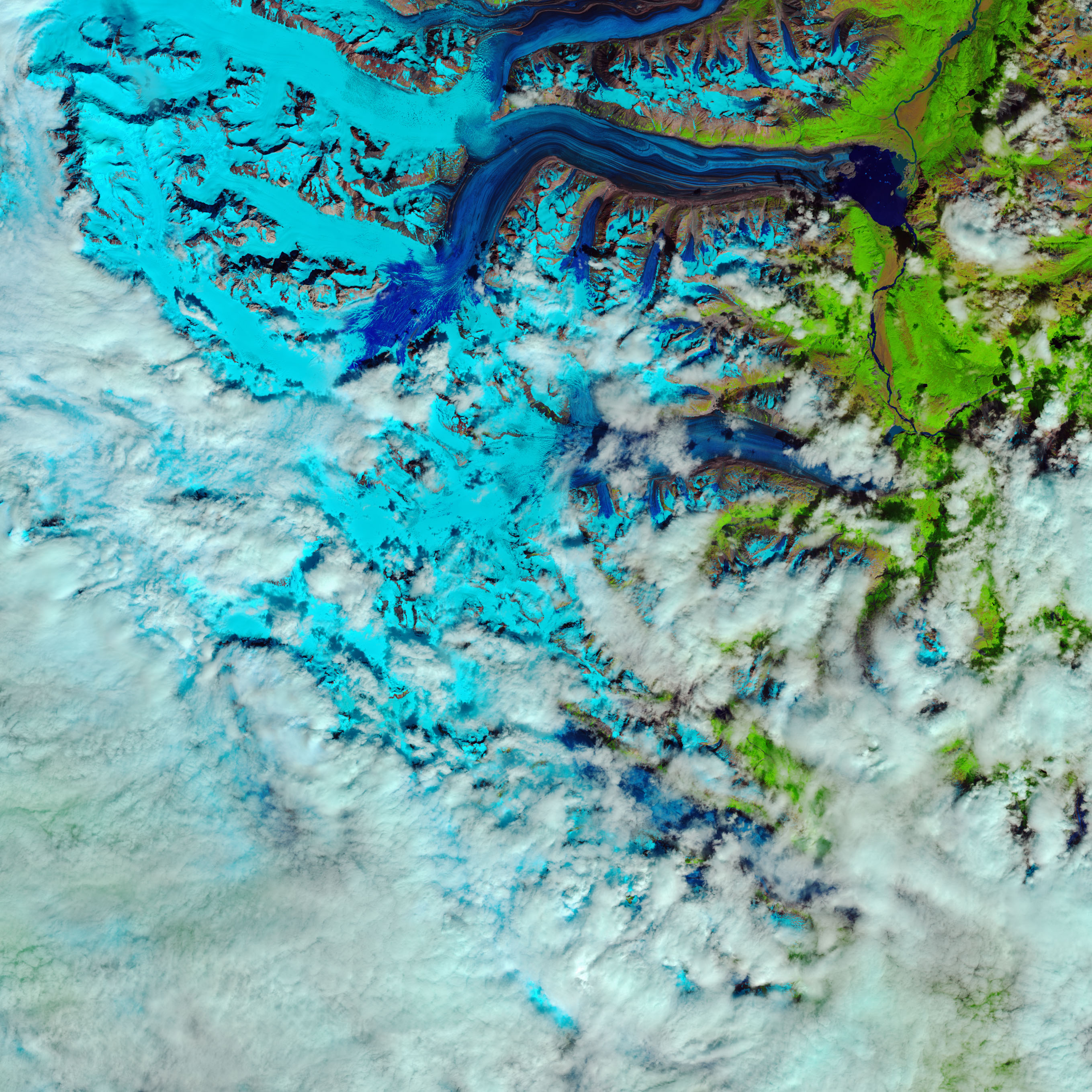 “Snow Swamp” on Lowell Glacier  - related image preview