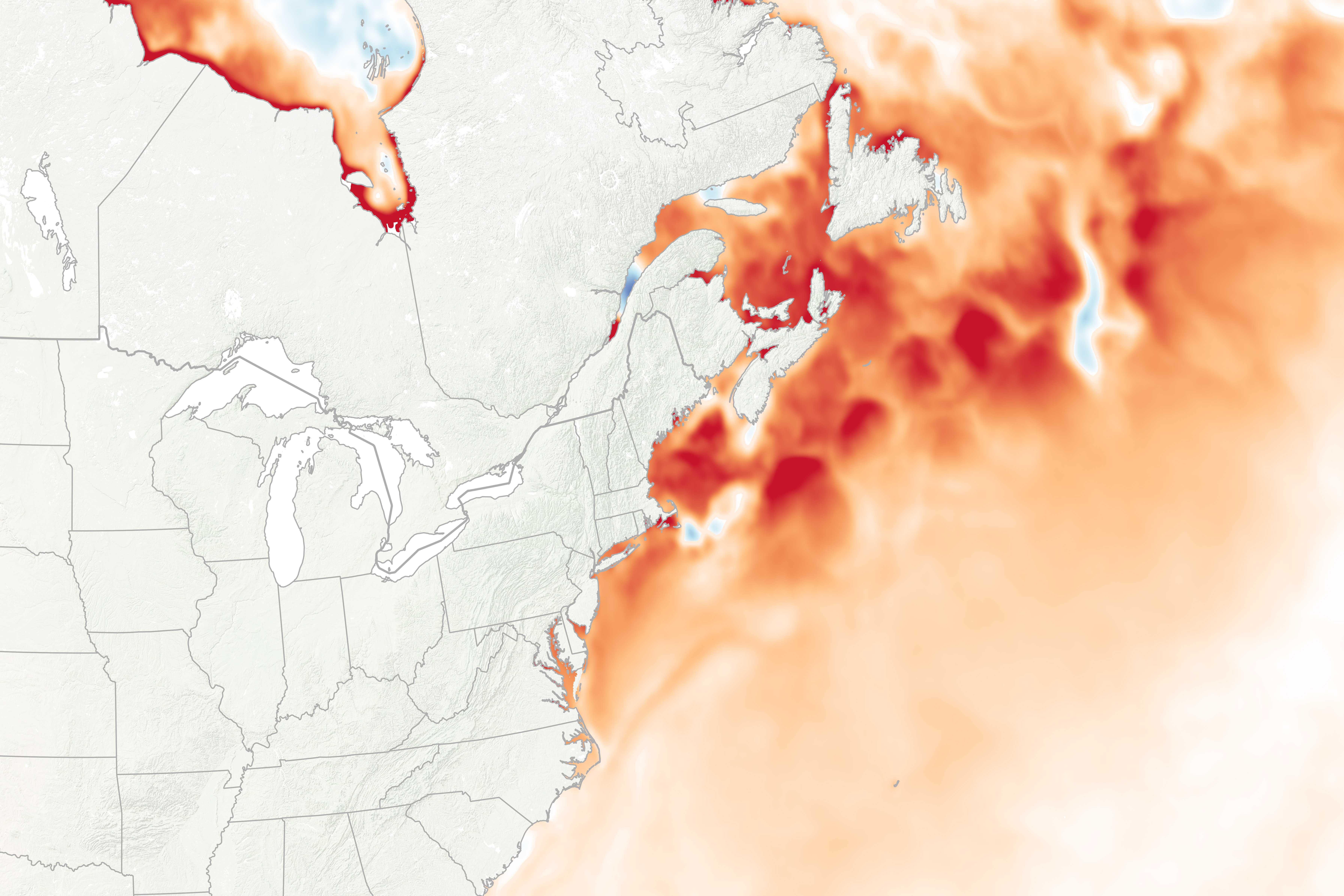 Watery Heatwave Cooks the Gulf of Maine - related image preview