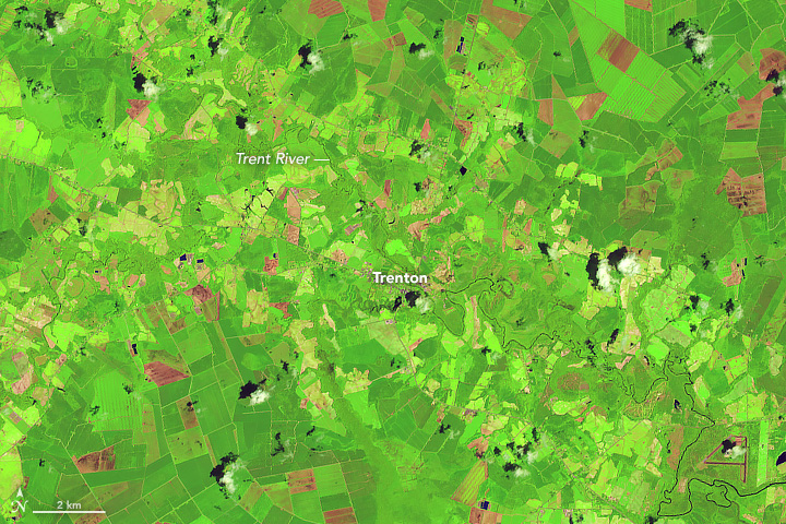 A Broad View of Flooding in the Carolinas