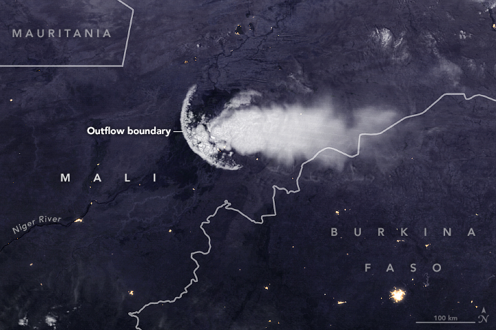 An Outflow Boundary—Not a Jellyfish—Over Africa