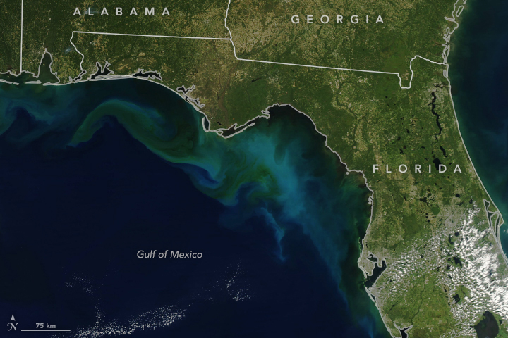 Sediment Stirred Up by Michael