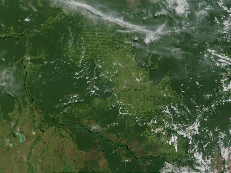 Deforestation in Rondonia State, Brazil - related image preview