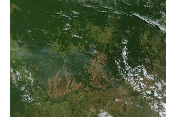 Fires in Mato Grosso State, Brazil - selected image