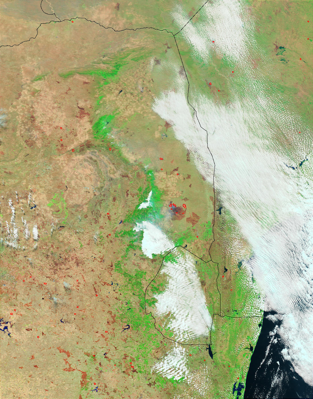 Fire in Kruger National Park near Skukuza, South Africa (false color) - related image preview