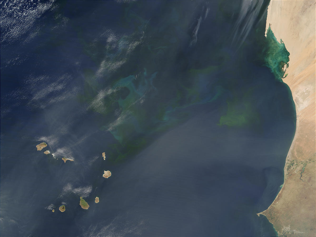 Phytoplankton bloom near Cape Verde Islands - related image preview