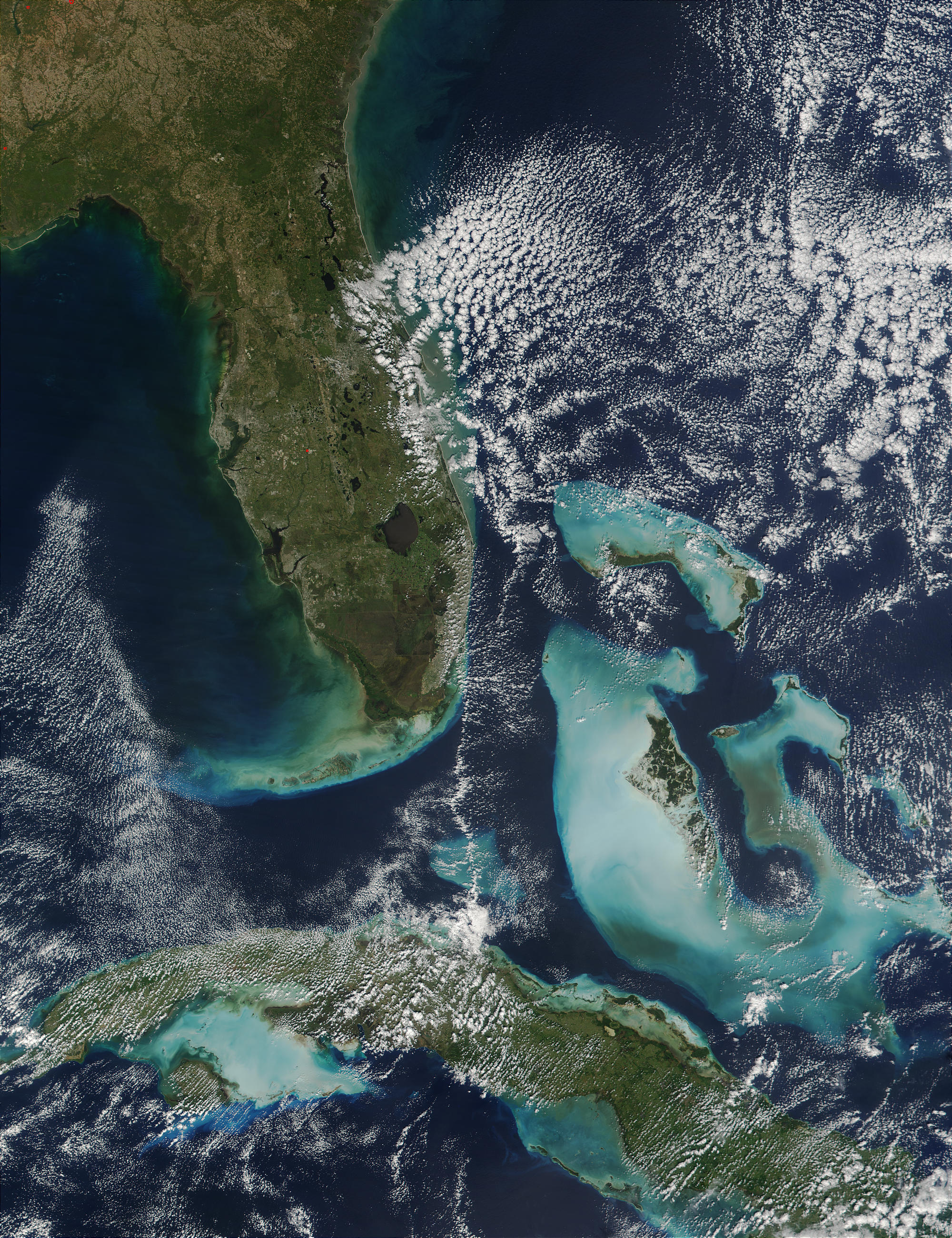 Florida, Bahamas and Cuba - related image preview