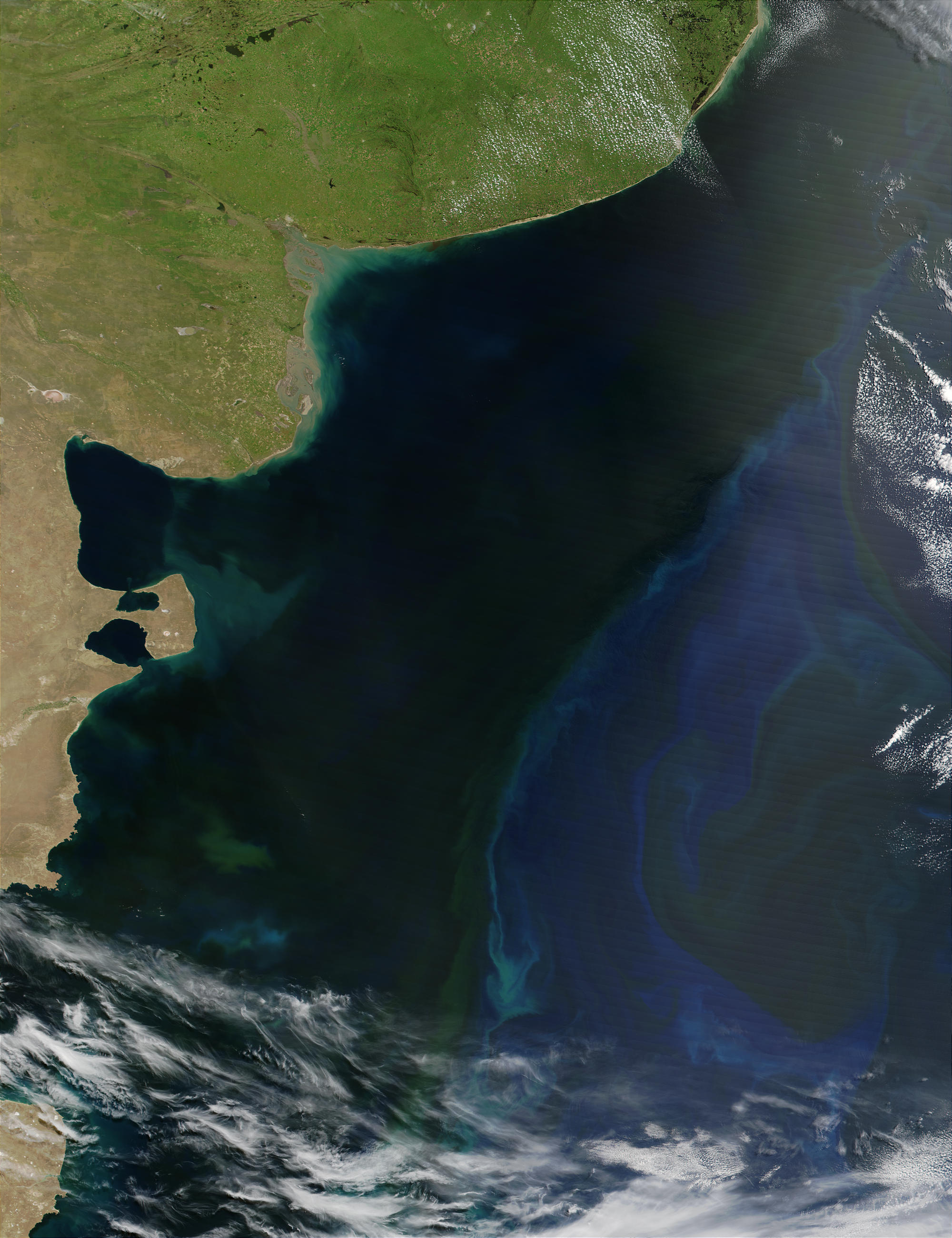 Phytoplankton bloom off the coast of Argentina - related image preview