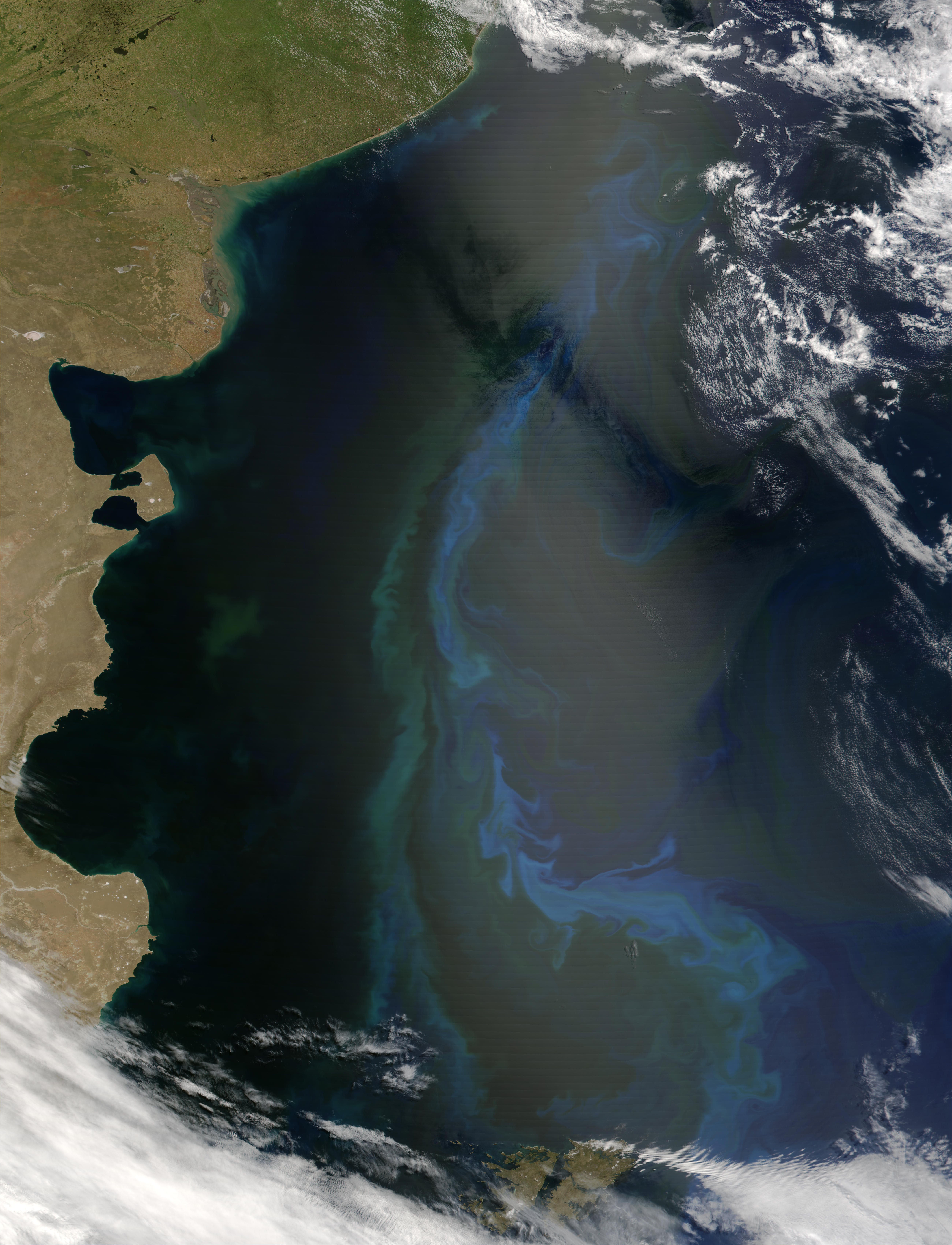Phytoplankton bloom off the coast of Argentina - related image preview