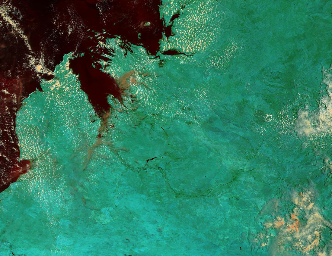 Fitzroy River, Northwest Australia (false color) - related image preview