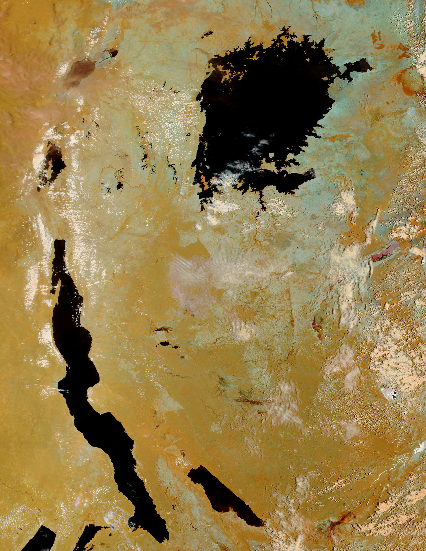 Tanzania (before floods) (false color) - related image preview