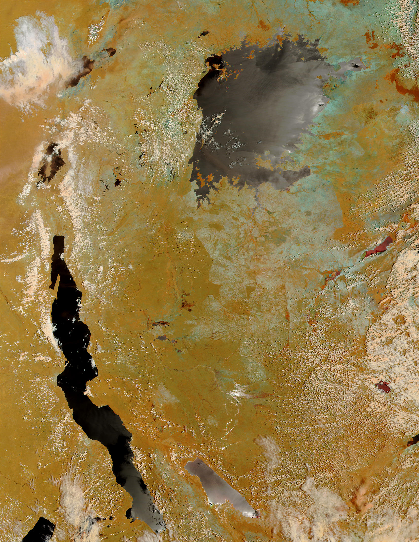 Tanzania (before floods) (false color) - related image preview