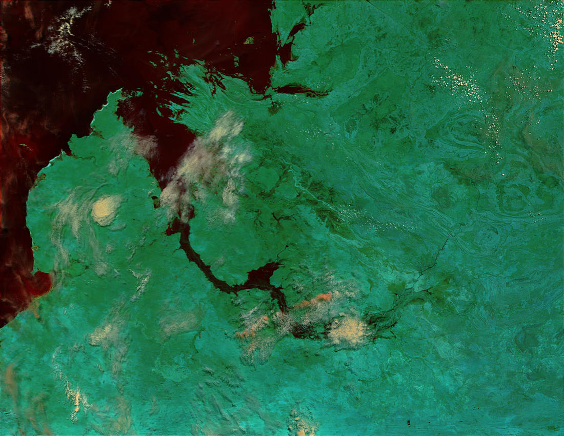 Flooding of the Fitzroy River, Northwest Australia (false color) - related image preview