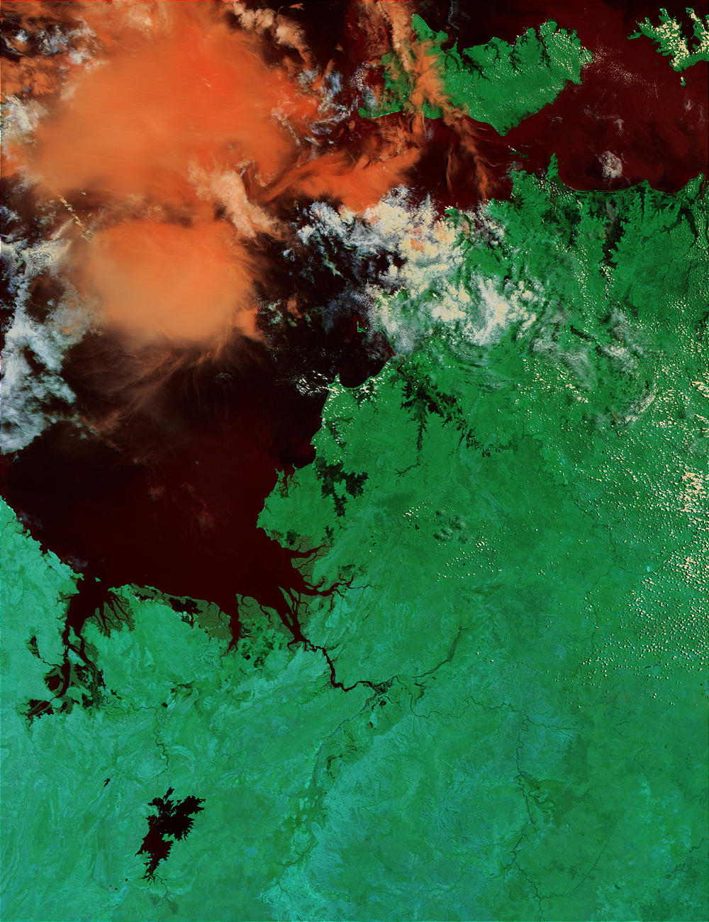 Floods along Australian Northwest coast (false color) - related image preview