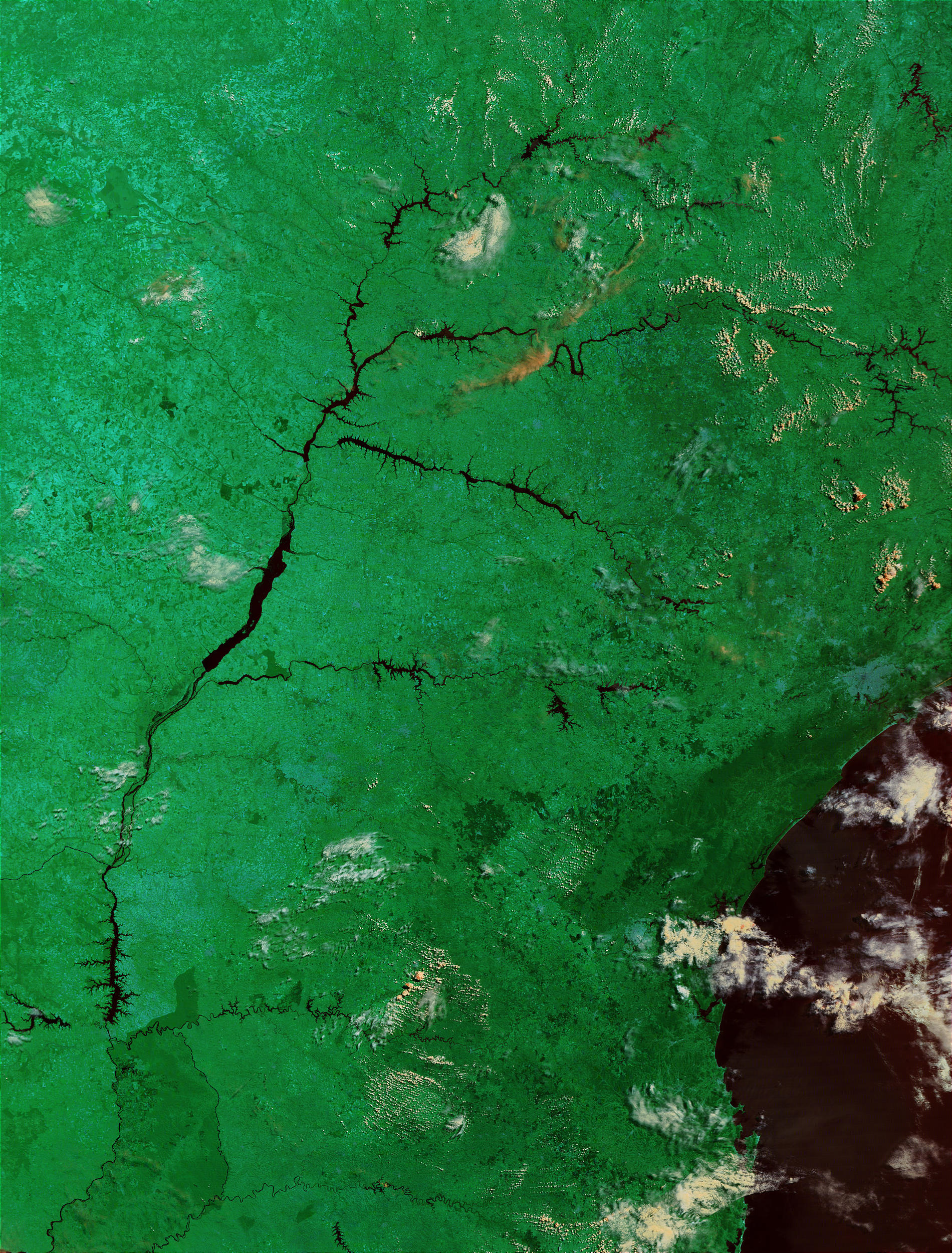Southern Brazil (false color) - related image preview