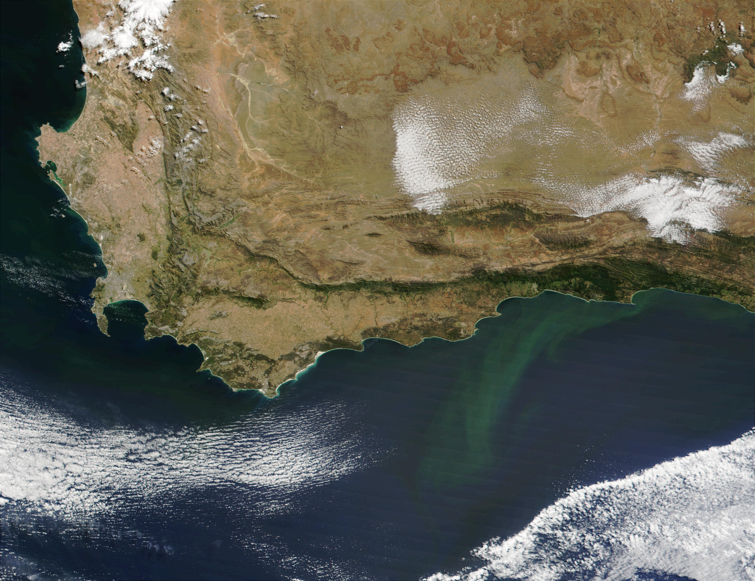 Phytoplankton bloom along the coast of South Africa - related image preview