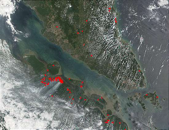 Fires in Sumatra, Indonesia - related image preview