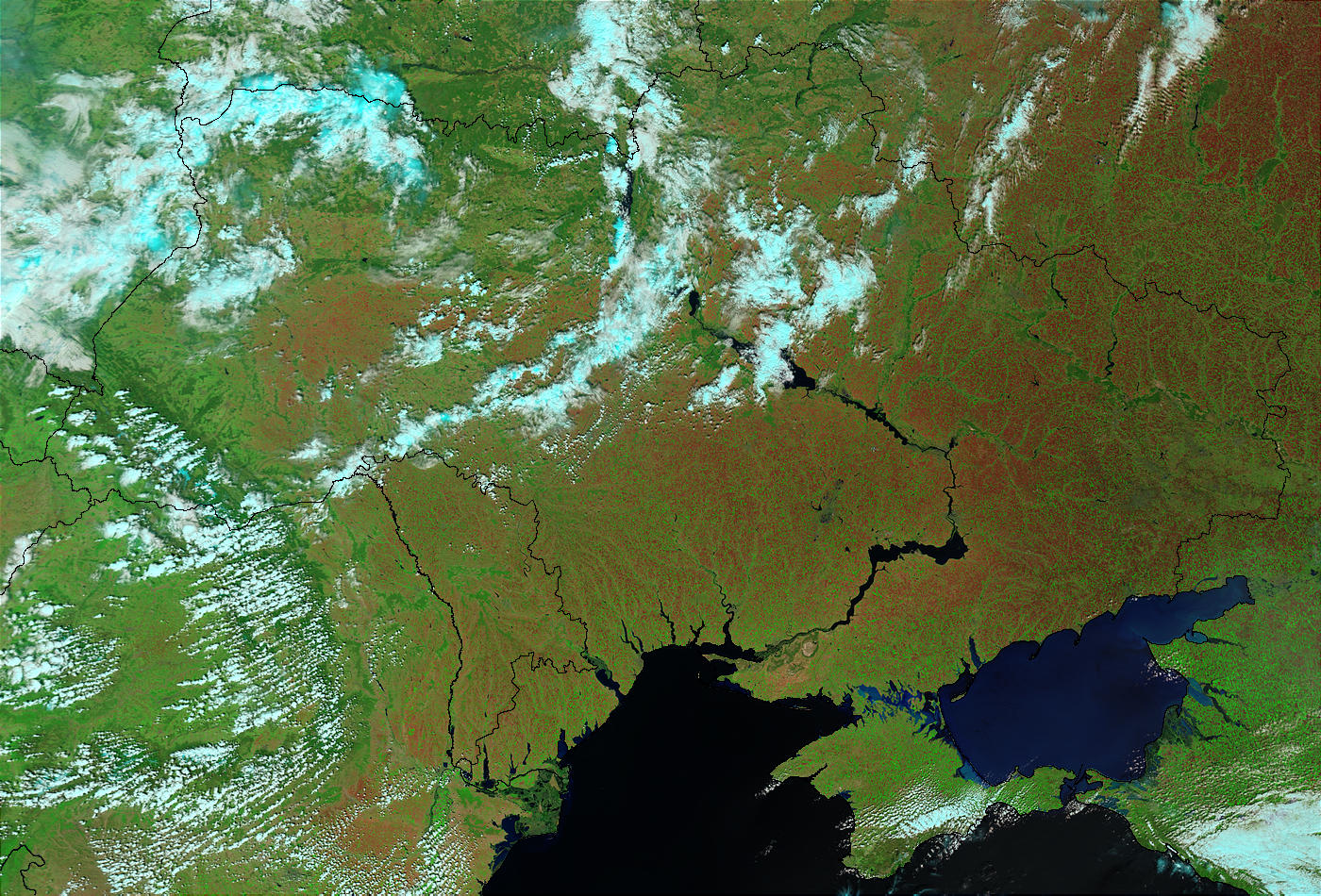 Normal winter wheat conditions, Ukraine - related image preview