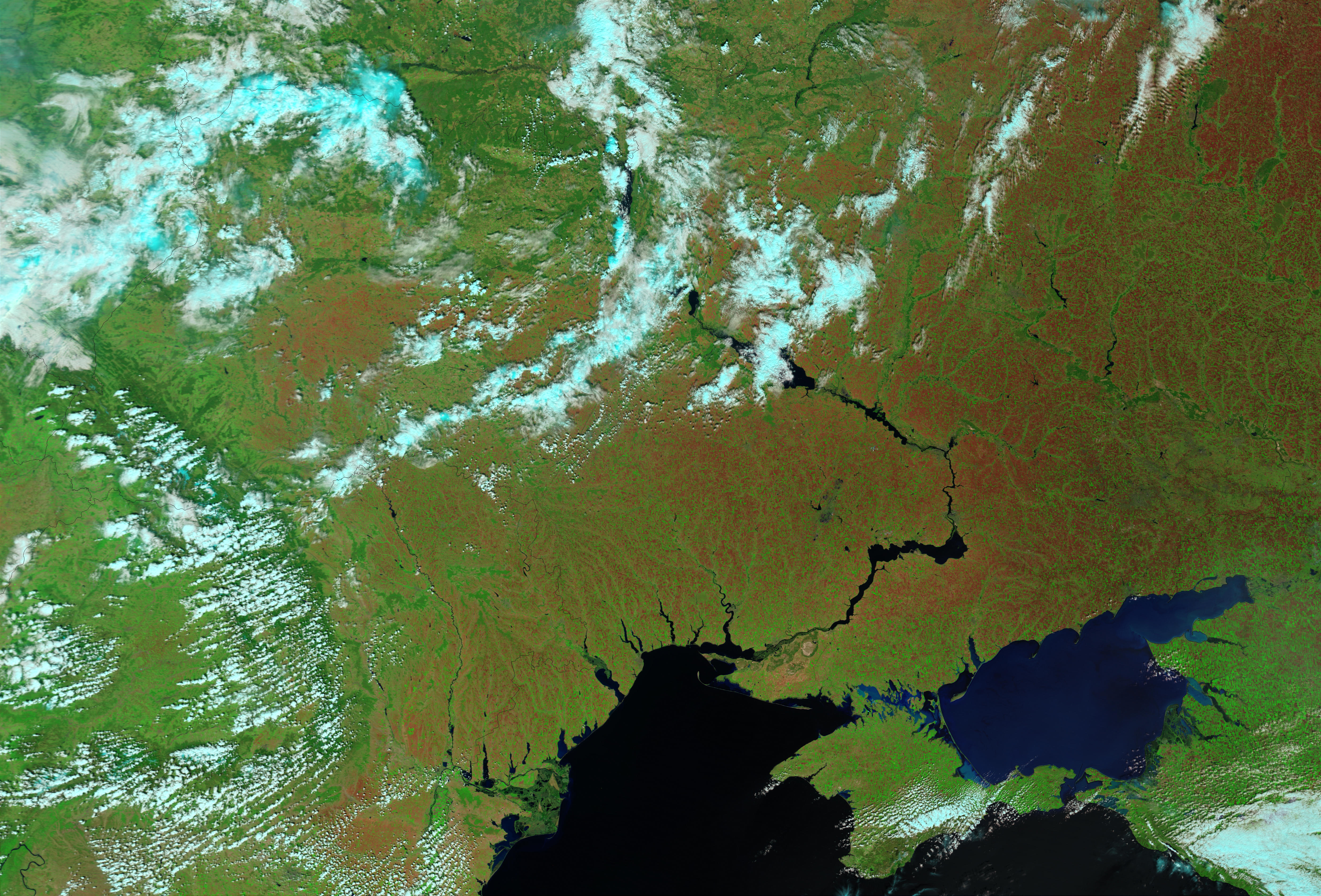 Normal winter wheat conditions, Ukraine - related image preview