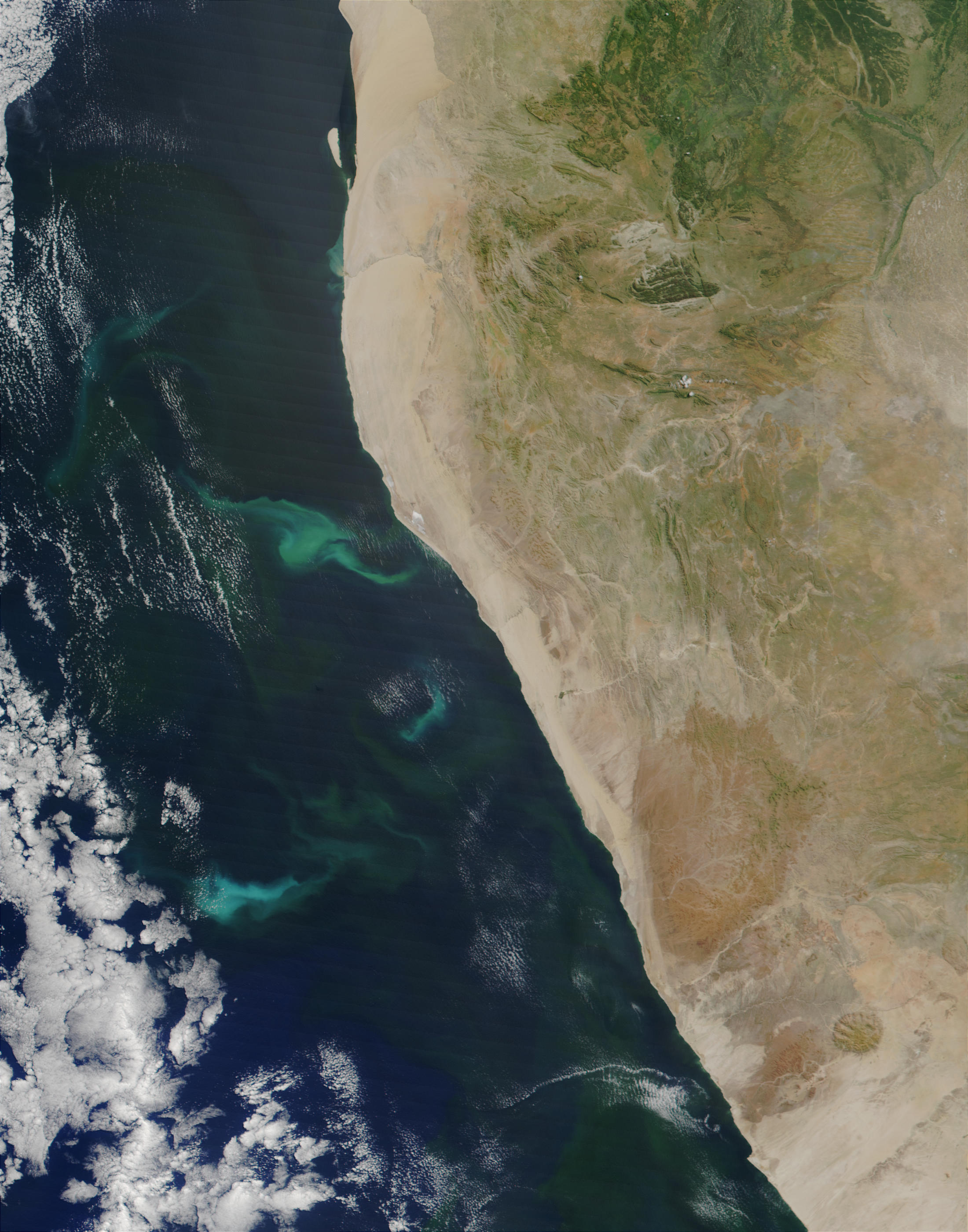 Phytoplankton bloom off Namibia - related image preview