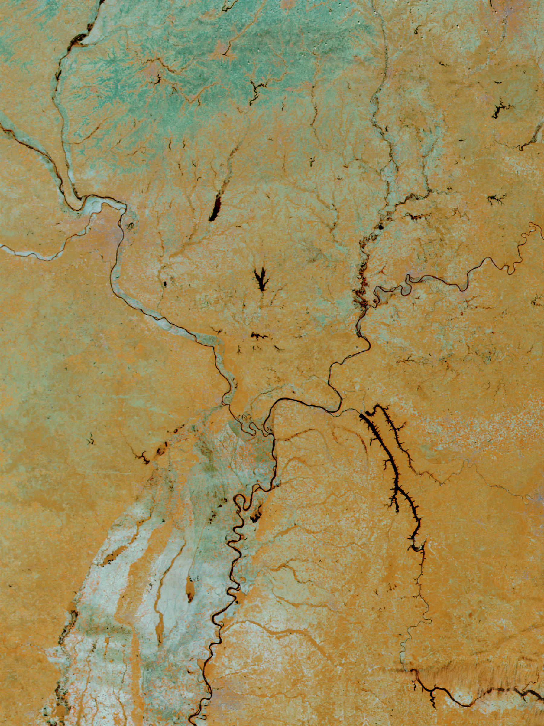 Junction of the Mississippi and Ohio Rivers (before flooding) (false color) - related image preview
