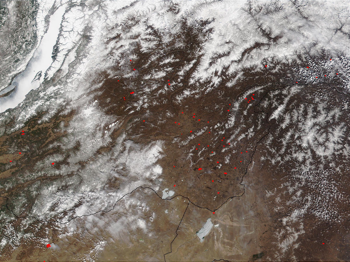Fires in the Chita Region, Russia - related image preview