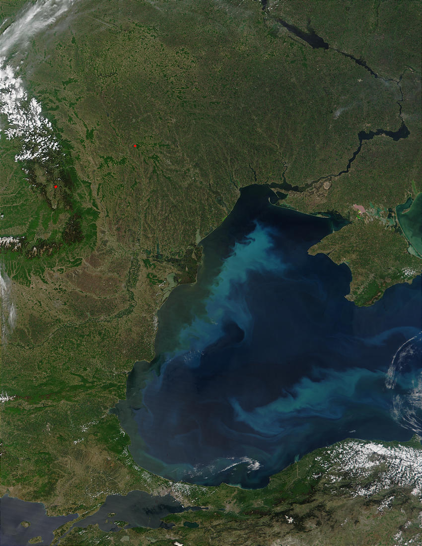 Phytoplankton bloom in the Black Sea - related image preview